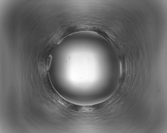 X0000061110617200511181131