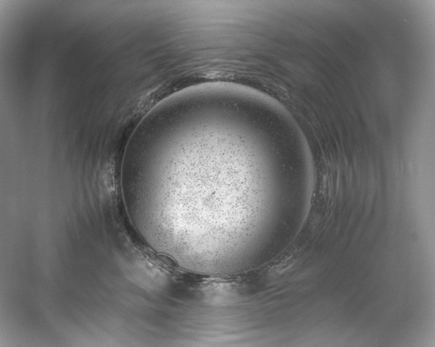 X0000061110620200511181131