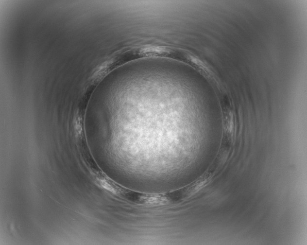 X0000061110621200511181131
