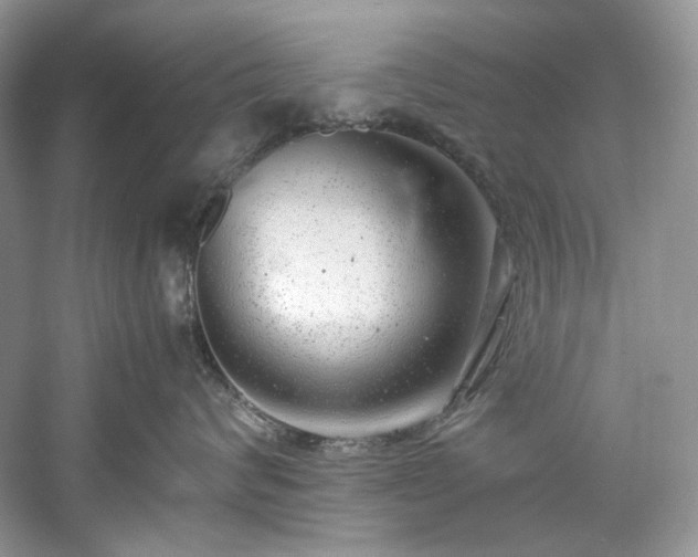 X0000061110624200511181131