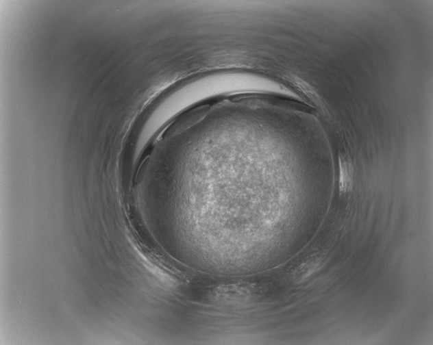 X0000061110627200511181130