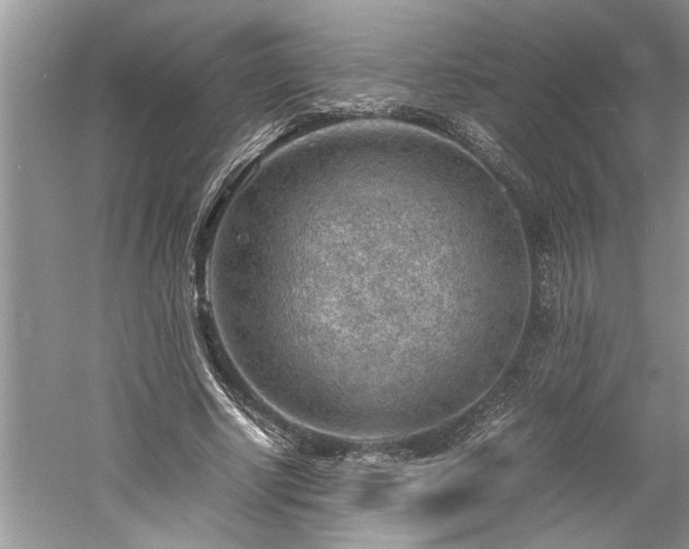 X0000061110634200511181130