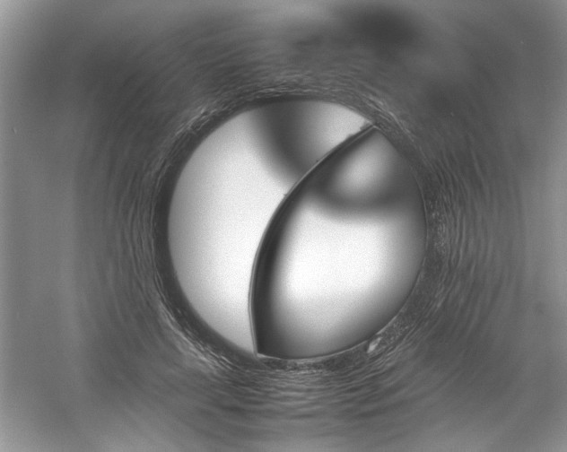 X0000061110643200511181131