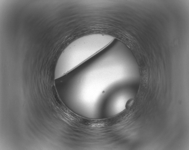 X0000061110653200511181131