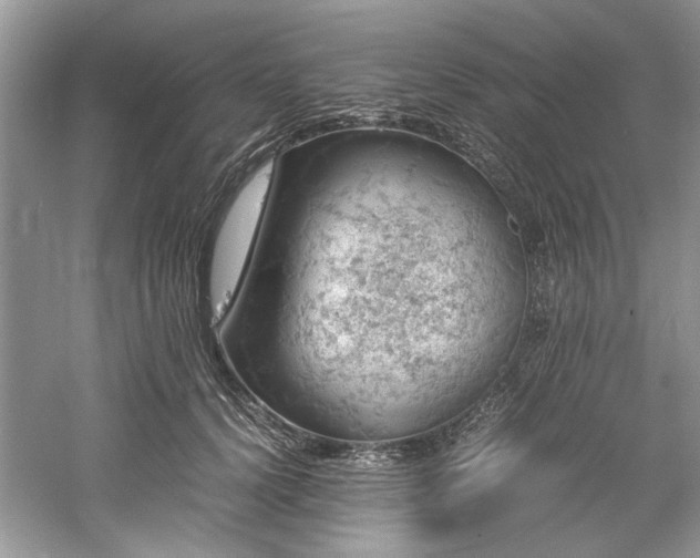 X0000061110656200511181131