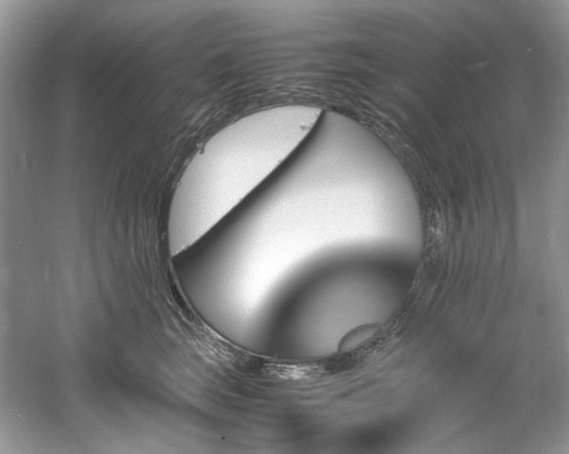 X0000061110663200511181131