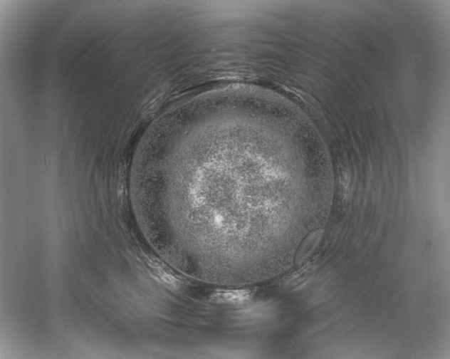 X0000061110665200511181131