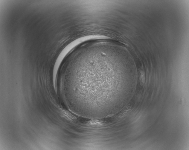 X0000061110668200511181131