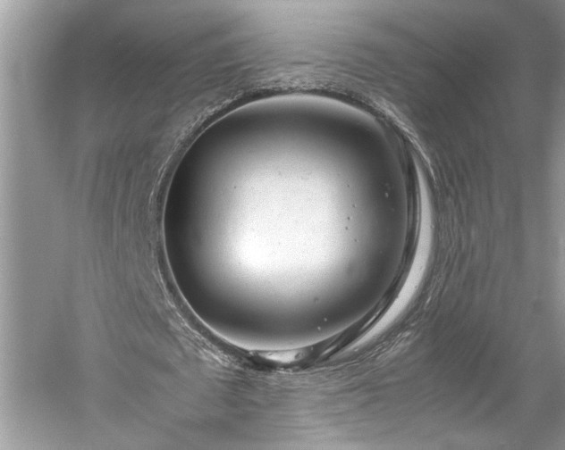 X0000061110673200511181130