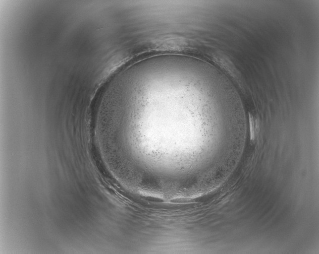 X0000061110675200511181130