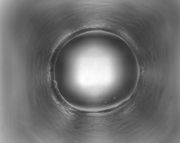 X0000061110676200511181130