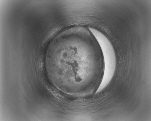 X0000061110687200511181130