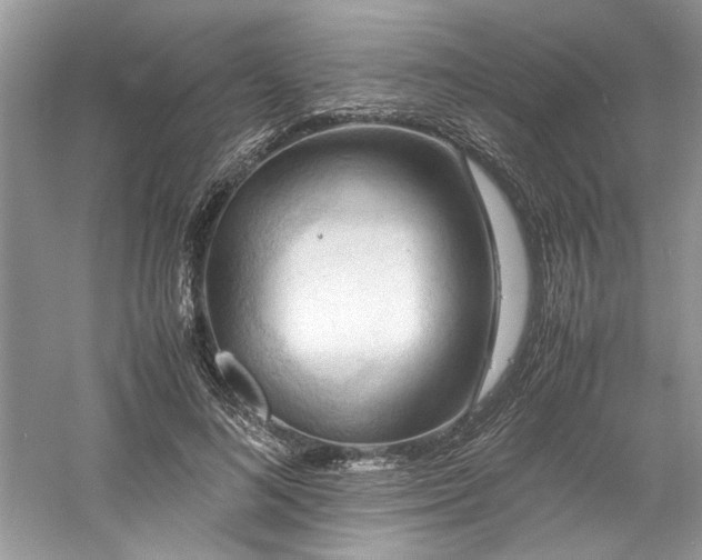 X0000061110692200511181130