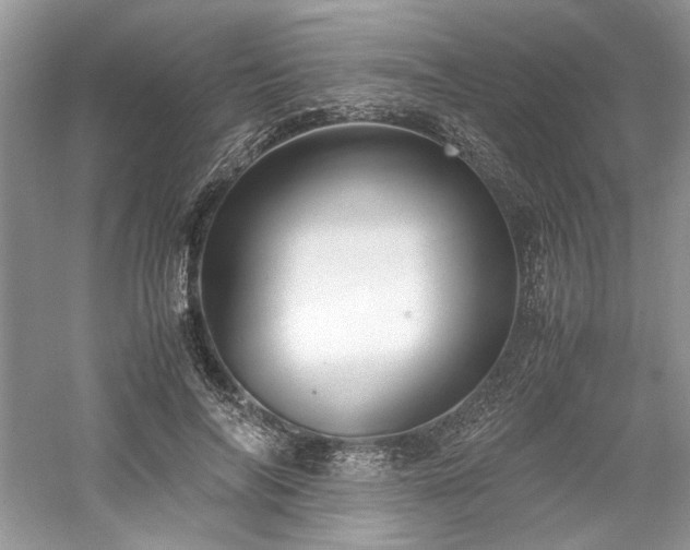 X0000061110694200511181130