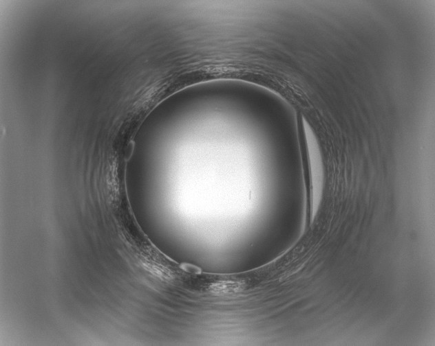 X0000061110700200511181130