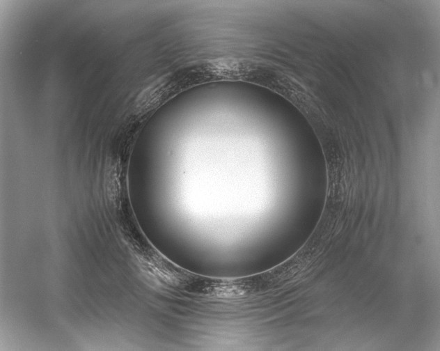 X0000061110702200511181130