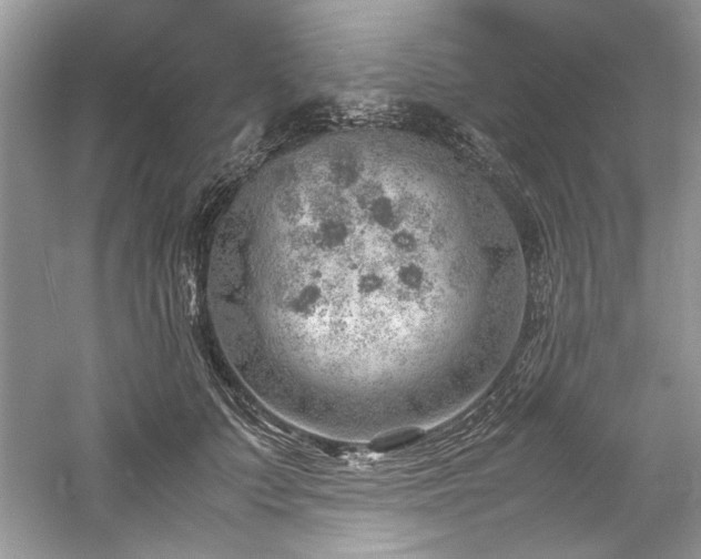 X0000061110703200511181130