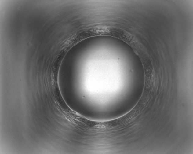 X0000061110704200511181130