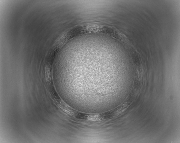 X0000061110705200511181130