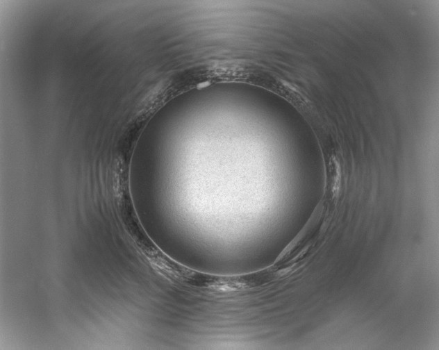 X0000061110712200511181130