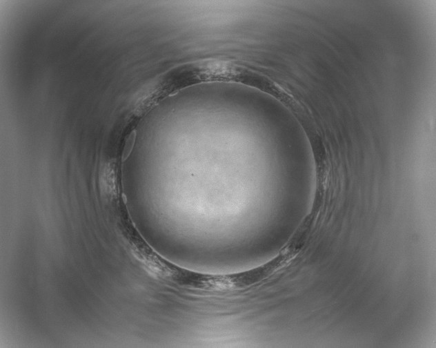 X0000061110715200511181130