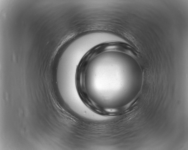 X0000061110731200511181129