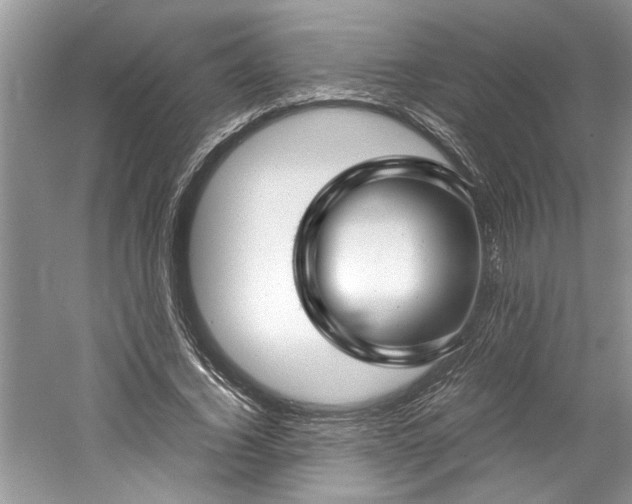X0000061110732200511181129