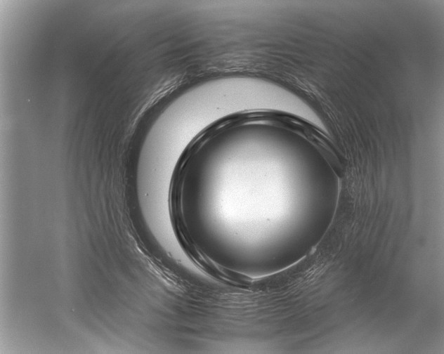X0000061110735200511181129
