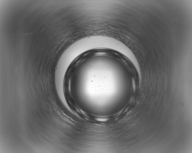 X0000061110756200511181129