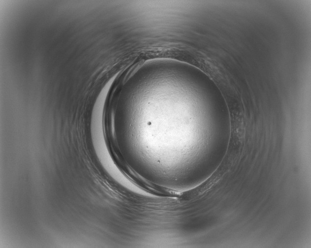 X0000061110758200511181129