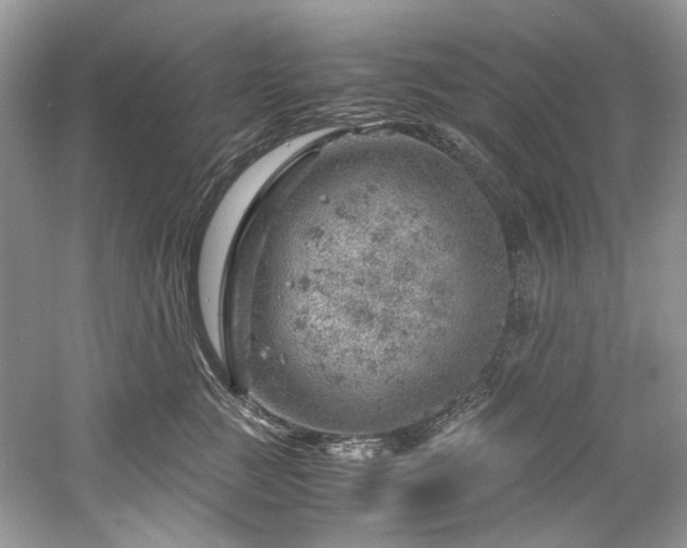 X0000061110761200511181129