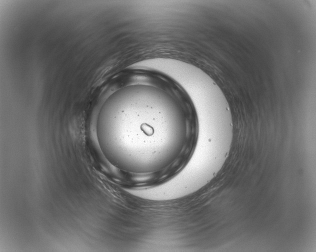 X0000061110762200511181129