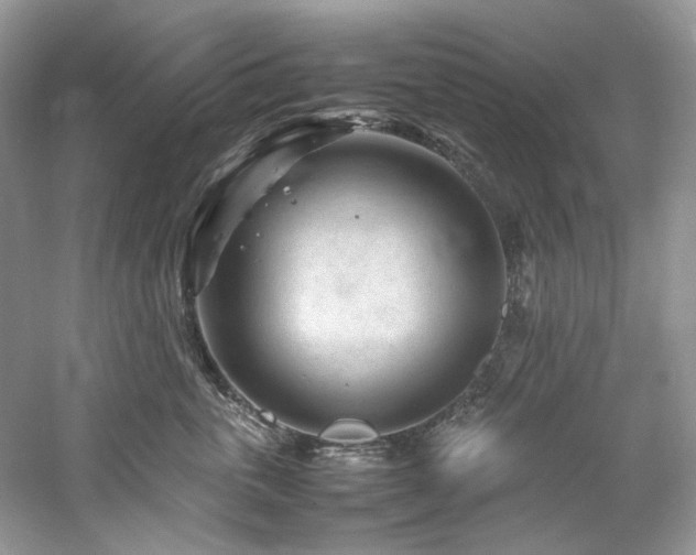 X0000061110763200511181129
