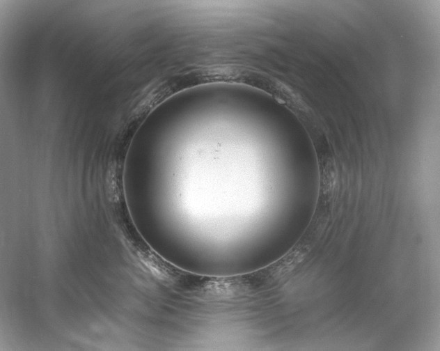 X0000061110764200511181129