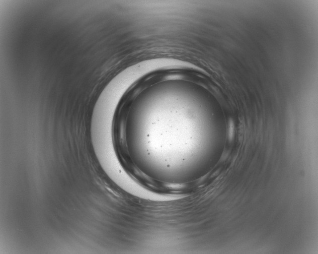 X0000061110766200511181129