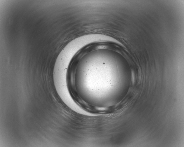 X0000061110767200511181129
