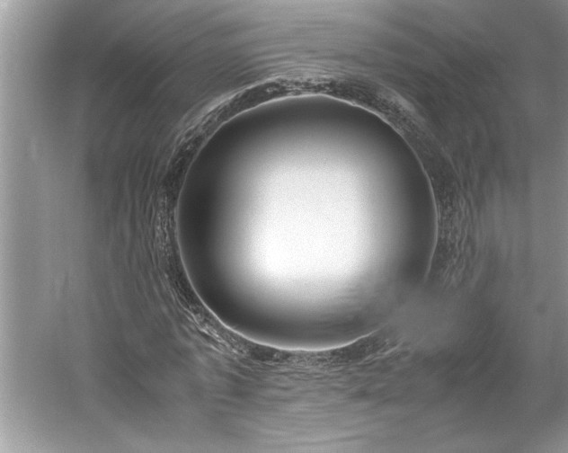 X0000061110773200511181129
