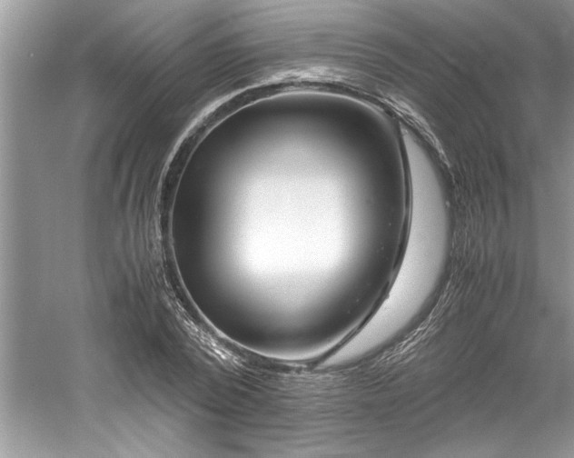 X0000061110784200511181128