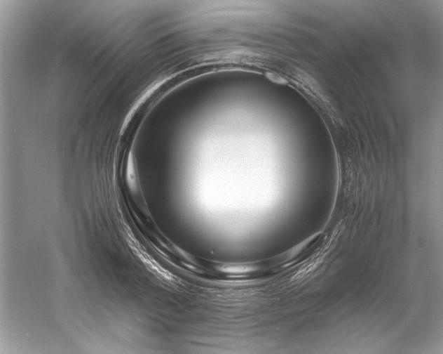 X0000061110788200511181128