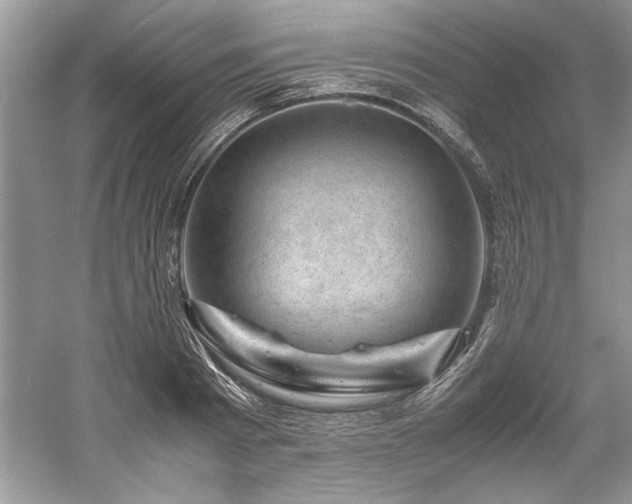X0000061110793200511181128