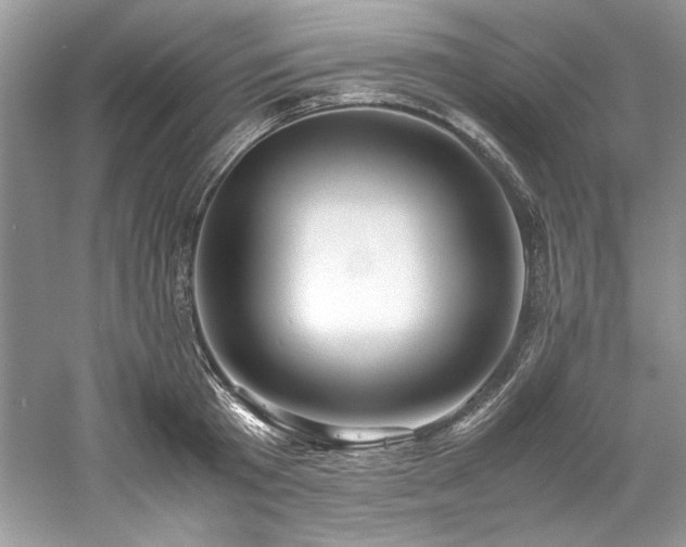 X0000061110801200511181128