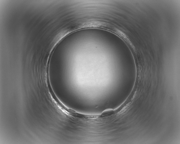 X0000061110802200511181128