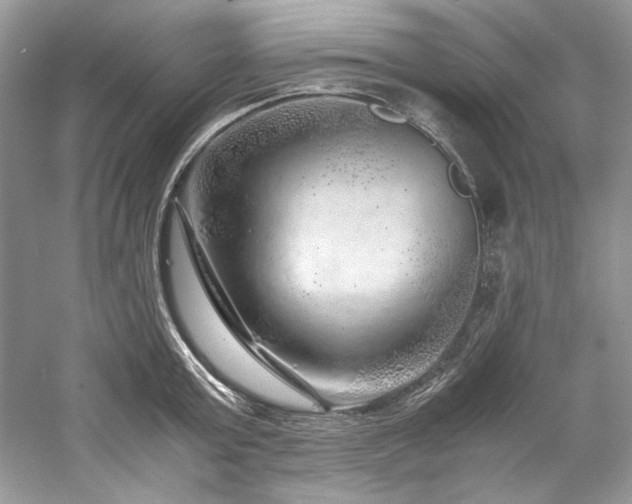 X0000061110803200511181128