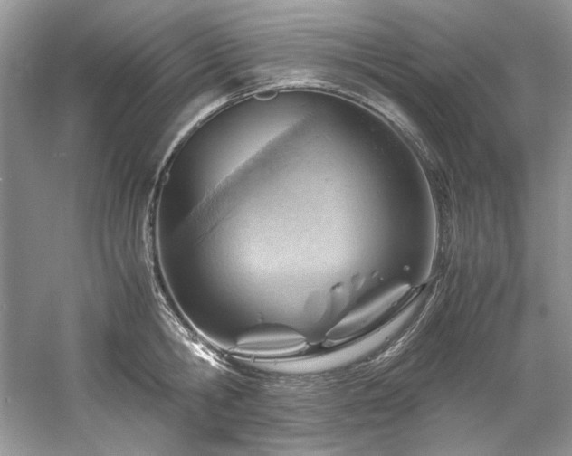 X0000061110806200511181128