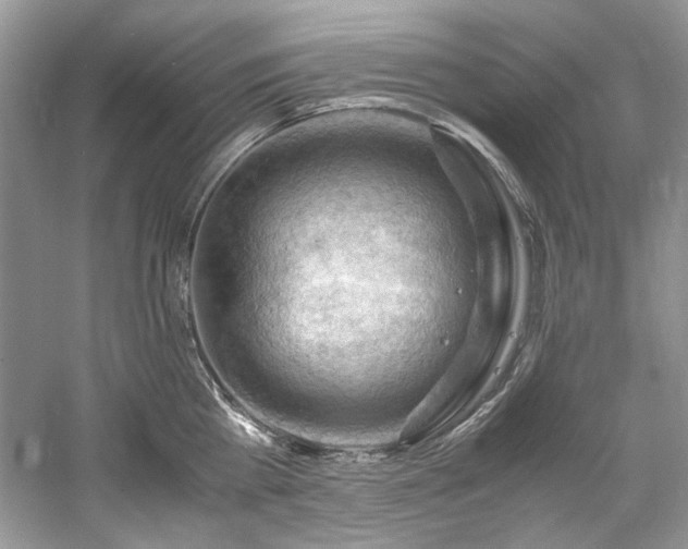 X0000061110809200511181128