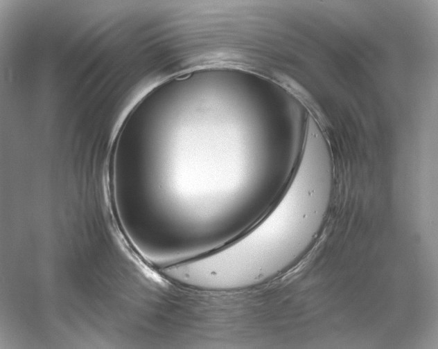 X0000061110812200511181128