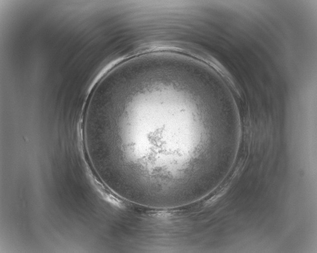 X0000061110814200511181128