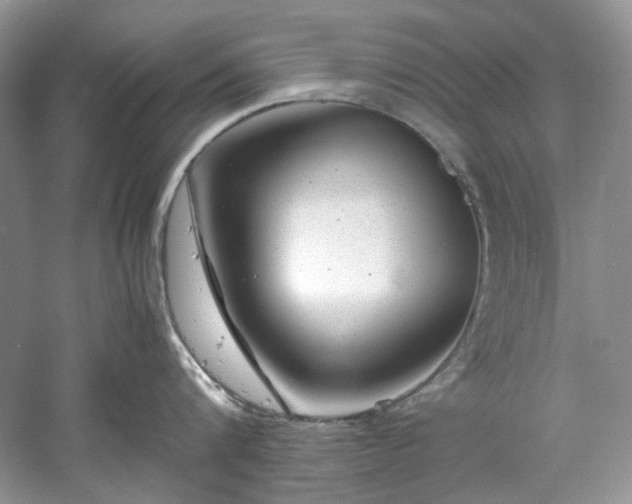 X0000061110816200511181128