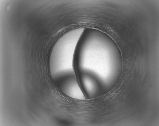 X0000061110821200511181127