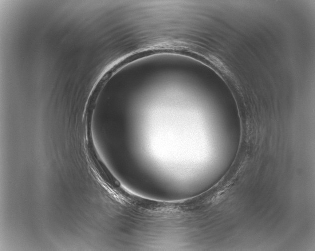 X0000061110838200511181127